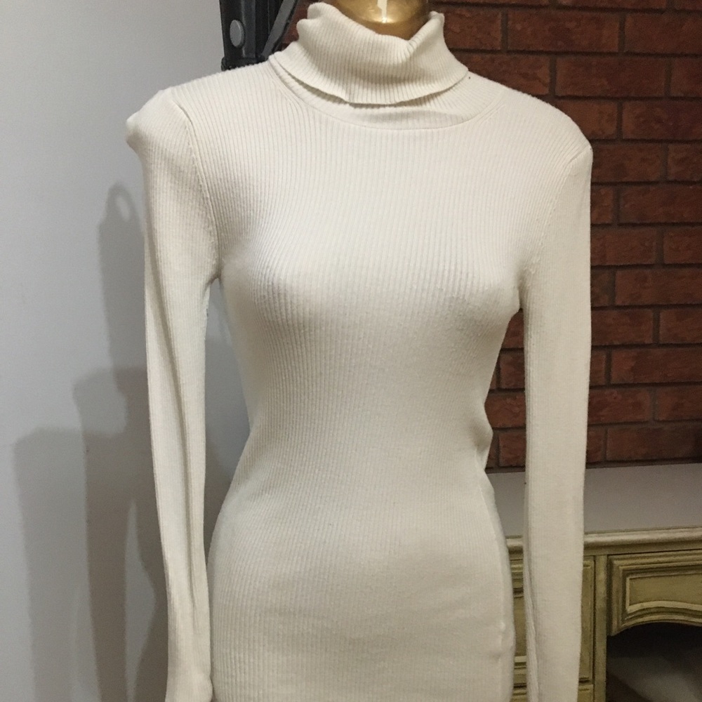 Express turtle neck sweater